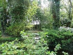 149 BIO PARC DE DOUE LA FONTAINE 7- 2016_000045